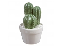 Maceta cactus porcelana 12x5,5cm.
