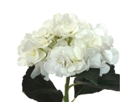 Hortensia 48cm. crema