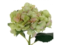 Hortensia 48cm. verde