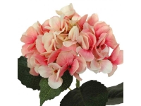 Hortensia 48cm. fucsia