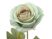 Rosa turquesa