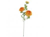 Ranunculus NARANJA