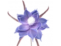 Magnolia foam 81cm. 16 diametro AZUL