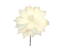 Magnolia 72cm. Foam rosa