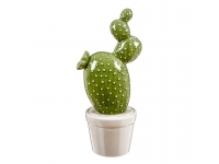 Maceta cactus porcelana 14x30cm.