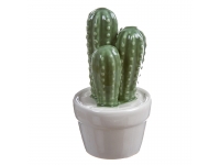 Maceta cactus porcelana 13x5cm.