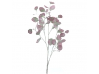 Eucaliptus 1,10cm malva