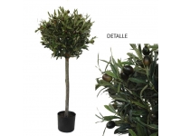 Olivo topiary 1 metro 46cm. diametro