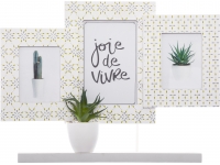 Portafoto 3 fotos cactus