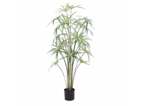 CYPERUS 1,05 MTS C/ MACETA