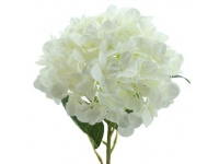 HYDRANGEA GIGANTE 115 CMS Ø32 CMS-&