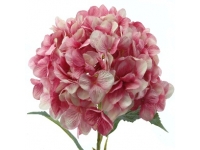 HYDRANGEA GIGANTE 115 CMS Ø32 CMS-&