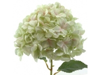HYDRANGEA GIGANTE 115 CMS Ø32 CMS-&