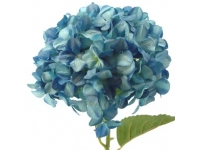 HYDRANGEA GIGANTE 115 CMS Ø32 CMS-&