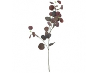 EUCALYPTUS 90 CMS-&