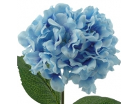 HYDRANGEA ALT 68 CMSØ19CMS -&