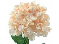 HYDRANGEA ALT 68 CMSØ19CMS -&