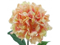 HYDRANGEA ALT 68 CMSØ19CMS -&