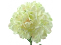 HYDRANGEA ALT 68 CMSØ19CMS -&