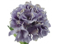 HYDRANGEA ALT 68 CMSØ19CMS -&