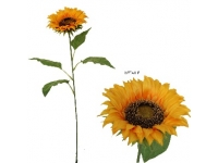 GIRASOL 77 CMS-&
