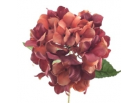 HORTENSIA 80 CMSØ22-&