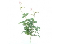 HOJA DE ROSA 90CMS-&