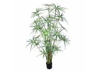 CYPERUS 1,30 MTS C/MACETA