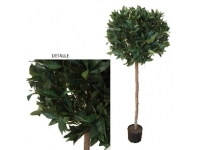 LAUREL 1 BOLA, 125 MT CON MACETA