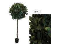 LAUREL TOPIARY 1,55 MT