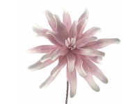 DAHLIA  FOAM 80 CMS Ø33 