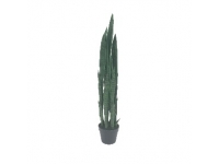 SANSEVIERIA 1,06 MT (C/MACETA)