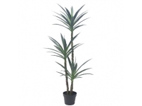 DRACENA X 3 (CON MACETA) 1,55 MTS