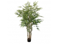 Bambú 1,80cm. con maceta