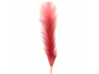 Plumero de las pampas FUCSIA