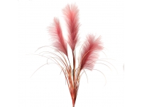 Hierba de las pampas FUCSIA
