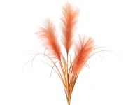 Hierba de las pampas CORAL