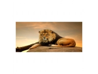 Cuadro alto brillo ANIMALES 2- 60x120cm.