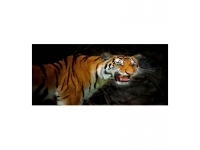 Cuadro alto brillo ANIMALES 11-70x150cm.