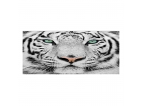 Cuadro alto brillo ANIMALES 41 -50x150cm.