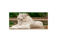 Cuadro alto brillo ANIMALES 46 -50x150cm.