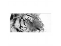 Cuadro alto brillo ANIMALES 51 -50x150cm.