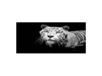 Cuadro alto brillo ANIMALES 13-50x150cm.