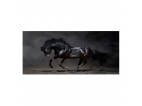 Cuadro alto brillo ANIMALES 19 -50x150cm.