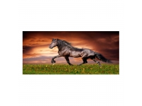 Cuadro alto brillo ANIMALES 20 -50x150cm.