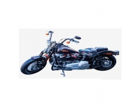 Silueta cuadro MOTO 7 - 60x120cm.