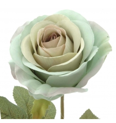 Rosa turquesa