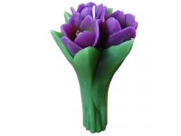 Vela 3 Tulipanes